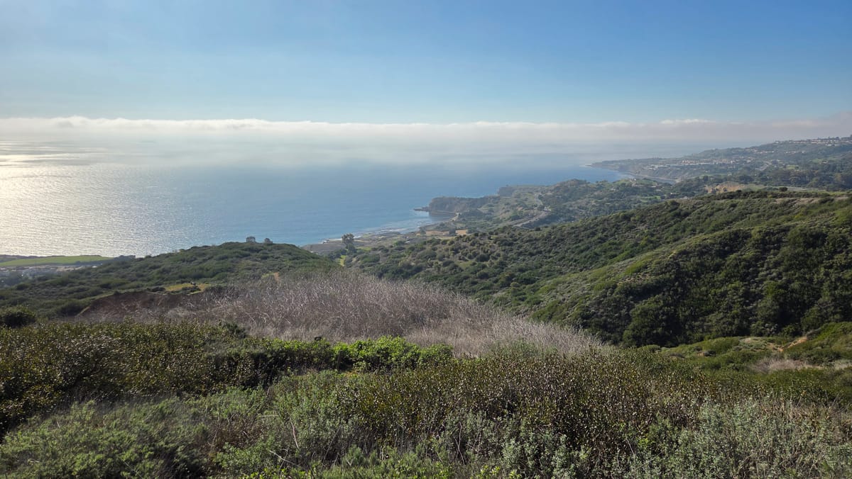 Encapsulating Kanan: 30 for My 30th